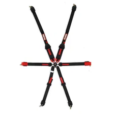 FIA 6 Point Camlock Harness Set image 1