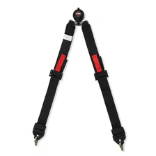 FIA 6 Point Camlock Harness Set image 9
