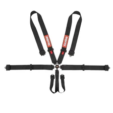 Camlock 6 Point Harness Set image 1