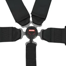 Camlock 5 Point Harness Set image 2