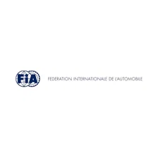 FIA 6 Point Camlock Harness Set image 3