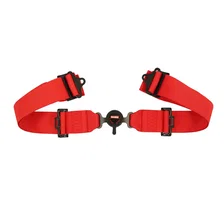 Camlock 5 Point Harness Set image 3