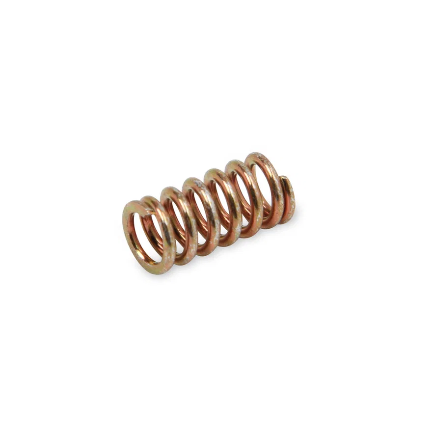 Idle Speed Screw Spring