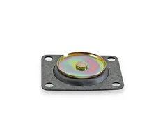 30cc Pump Diaphragm Assy. image 2
