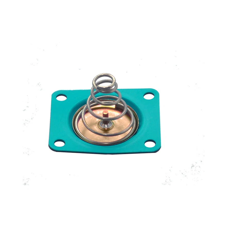 Fuel Pressure Regulator Diaphragm Kit