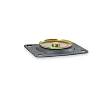 30cc Pump Diaphragm Assy. image 4