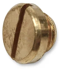 Brass Sight Plug & Gasket image 2