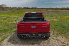 SN 20-25 Gladiator image 14