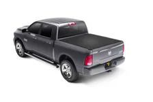 SNCT 09-18Ram5'7 wRB image 2