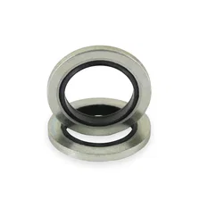 Dowty Seal image 2