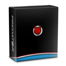 Predator 2 for Ford Mustang image 5