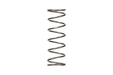 Single Spring image 1