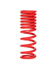 Single Spring image 1