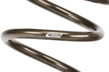 Single Spring image 2