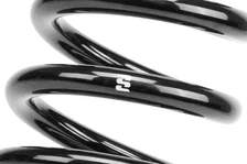 Single Rear Spring for Mercedes-Benz image 2
