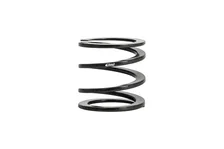 Single Spring image 1