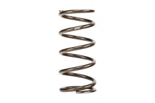 Single Spring image 1