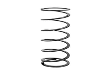 Single Spring image 1