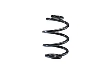 Single Rear Spring for Mercedes-Benz image 1