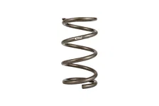 Single Spring image 1