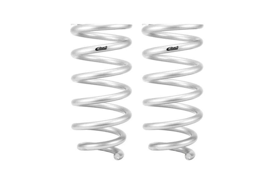Rear Set of 2 Springs for Toyota Sequoia