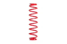 Single Spring image 1