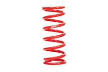 Single Spring image 1