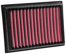 DryFlow Air Filter image 1