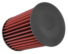 AEM DryFlow Air Filter image 1