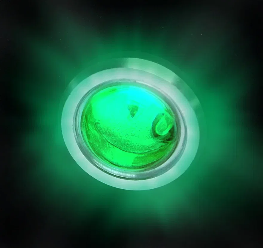 LED External Warning Light, Green