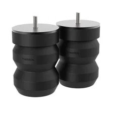 Rear SES Suspension Enhancement System image 1