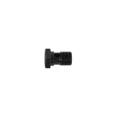 Adjustable Fuel Pressure Regulator Banjo Bolt image 3