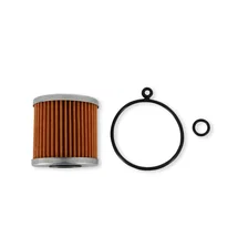 Honda High Volume Fuel Filter Element image 2