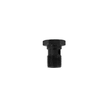 Adjustable Fuel Pressure Regulator Banjo Bolt image 2