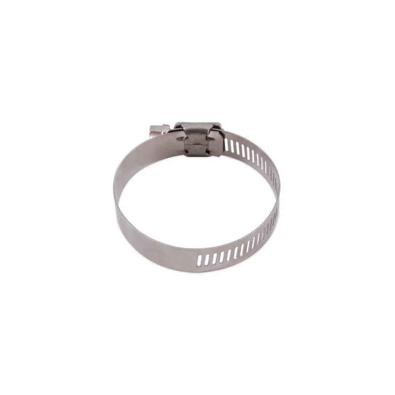 Worm Gear Clamp, High-Torque, Silver, 0.39in - 0.63in (10mm - 16mm), Pack of 10