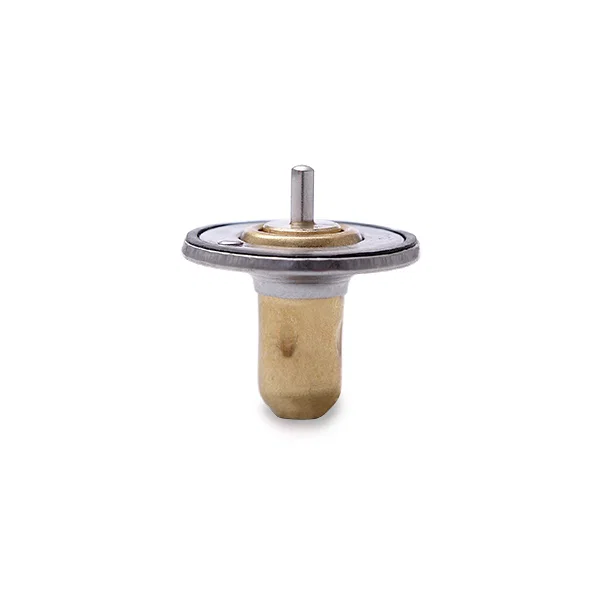 Racing Thermostat, 160-degree, fits Chevrolet Corvette C7 2014-2019