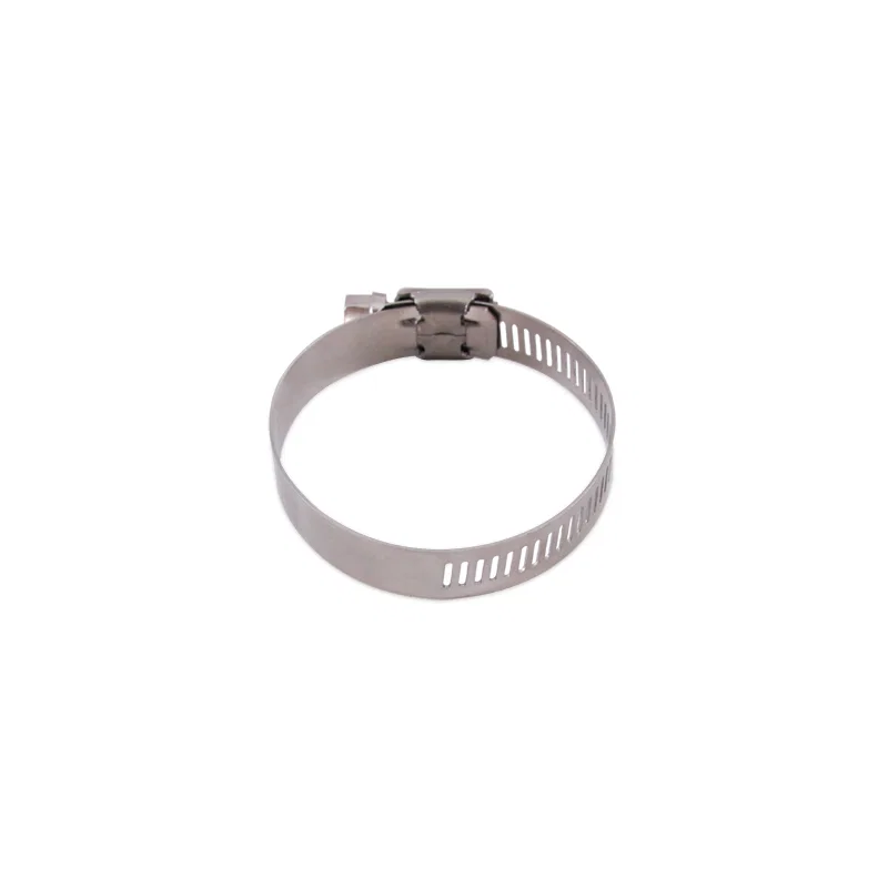 Worm Gear Clamp, High-Torque, Silver, 0.31in - 0.47 in (8mm - 12mm), Pack of 10