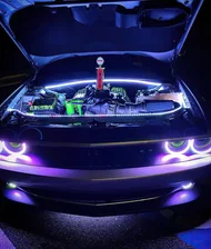 Engine Bay LED Lighting Kit 60in image 3