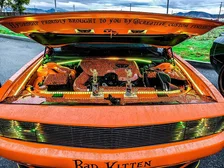 Engine Bay LED Lighting Kit 60in image 22