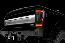 Tail light Assembly for Ford image 17