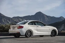 Free Flow Axle-Back Exhaust - 2014-2016 BMW M235i image 2