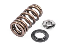 Valve Spring Kit (1 Set) image 1