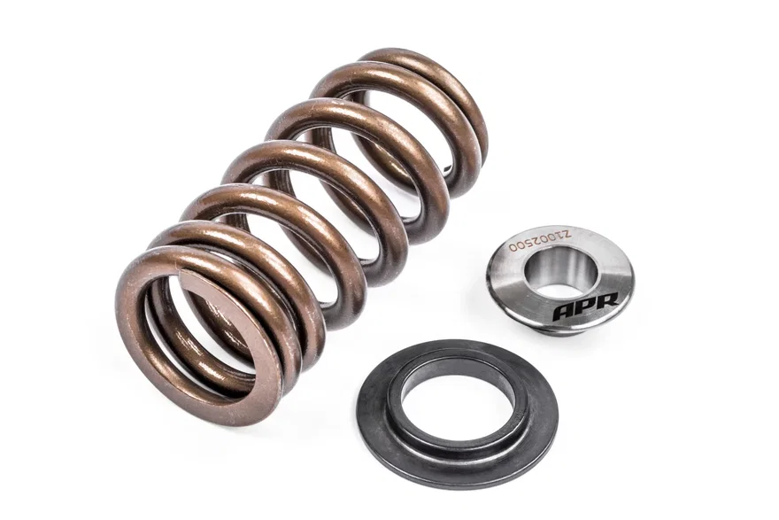 Valve Spring Kit (1 Set)