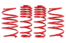 Roll-Control Lowering Springs for Volkswagen Jetta image 2