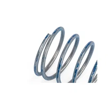 R1 DV Higher Pressure Spring image 2