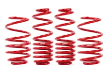 Roll-Control Lowering Springs - MK7 / MK7.5 GTI / Golf R for Volkswagen image 2