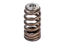 Valve Spring Kit (1 Set) image 3