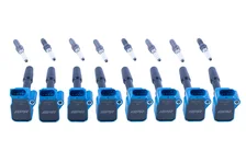Ignition Coil & Spark Plug Kit (4.0T EA825 8-cylinder engines) image 1