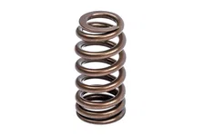 Valve Spring Kit (1 Set) image 2