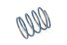 R1 DV Higher Pressure Spring image 4